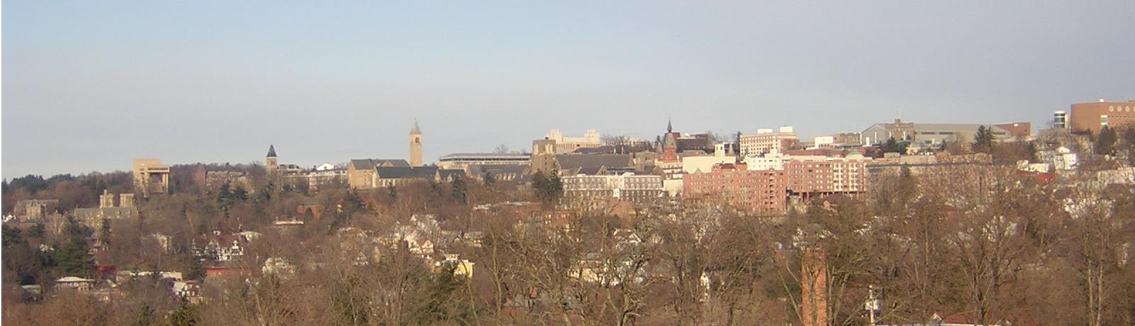 The East Hill area of the city:  Cornell University campus and Collegetown