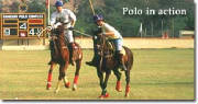 polo-european-sports-network-rmc-image-1001.jpg