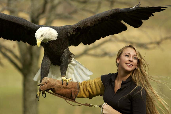 eagle_handler-2.jpg