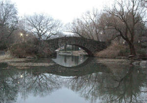 new-york-city-central-park-nightlife-night-life-rmc-image-1002.jpg