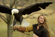 eagle_handler.jpg.w180h120-dallas-night-life-rmc.jpg