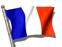 flag-france-sports-fan-rmc-image-1001.gif