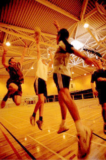volleyball-image-sports-network-night-life-nightlife-1005.gif